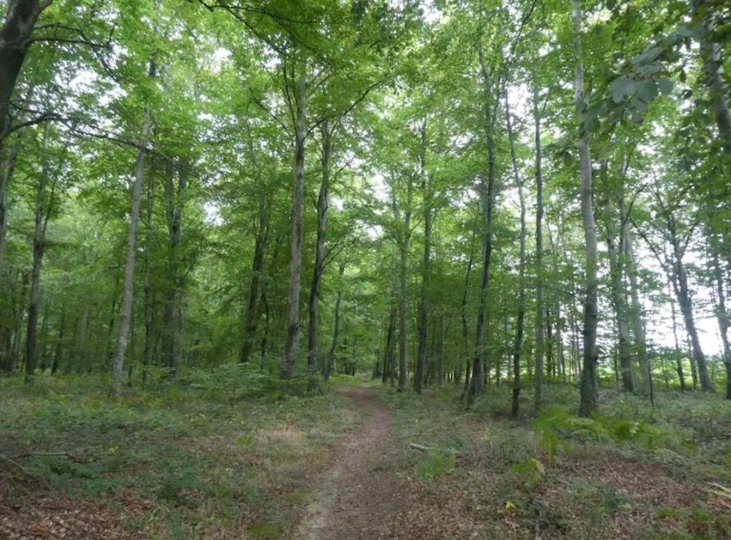 Vila L'Authentique Tonneau A Cidre D'Emma Litteau Exteriér fotografie