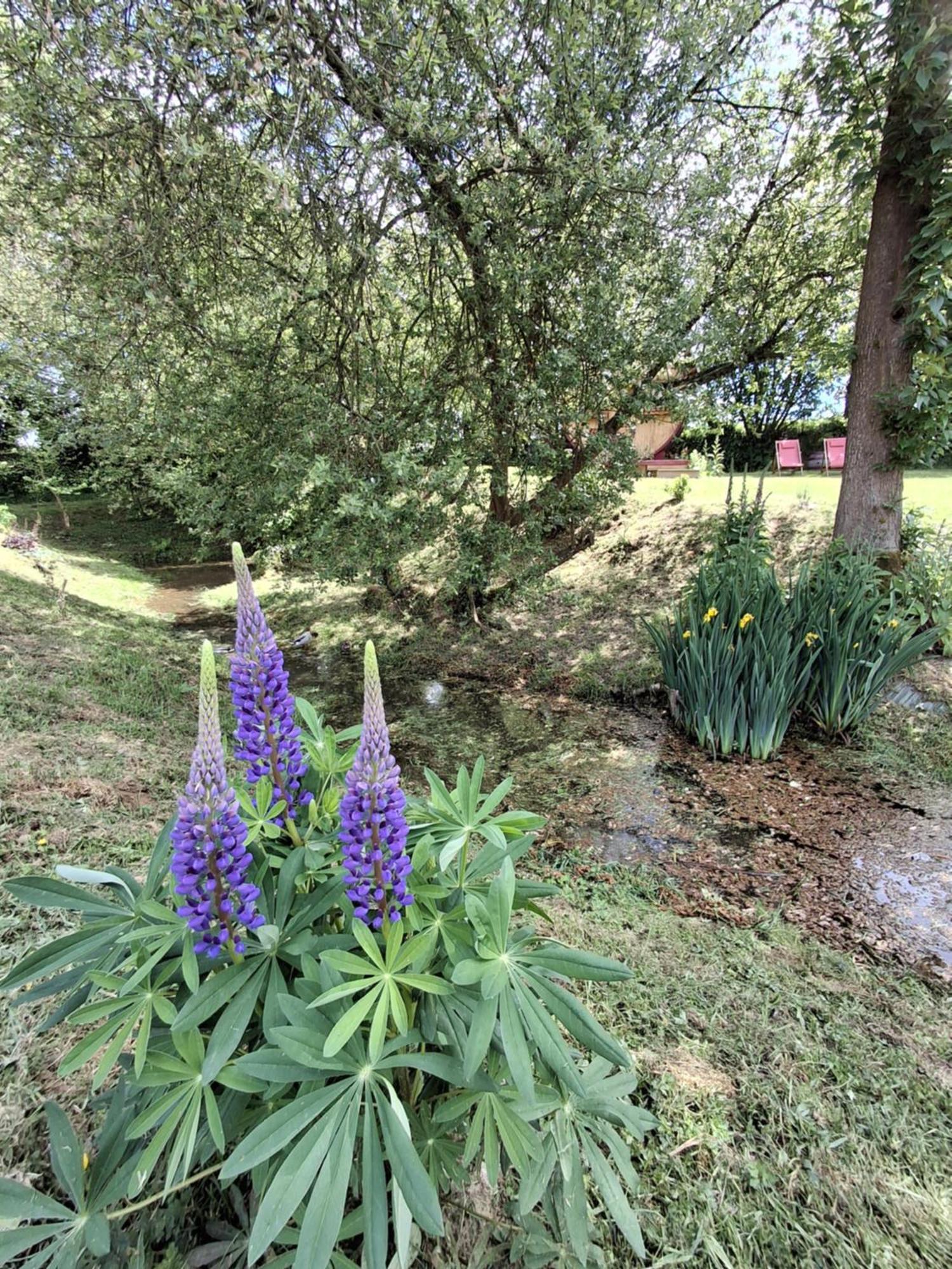 Vila L'Authentique Tonneau A Cidre D'Emma Litteau Exteriér fotografie