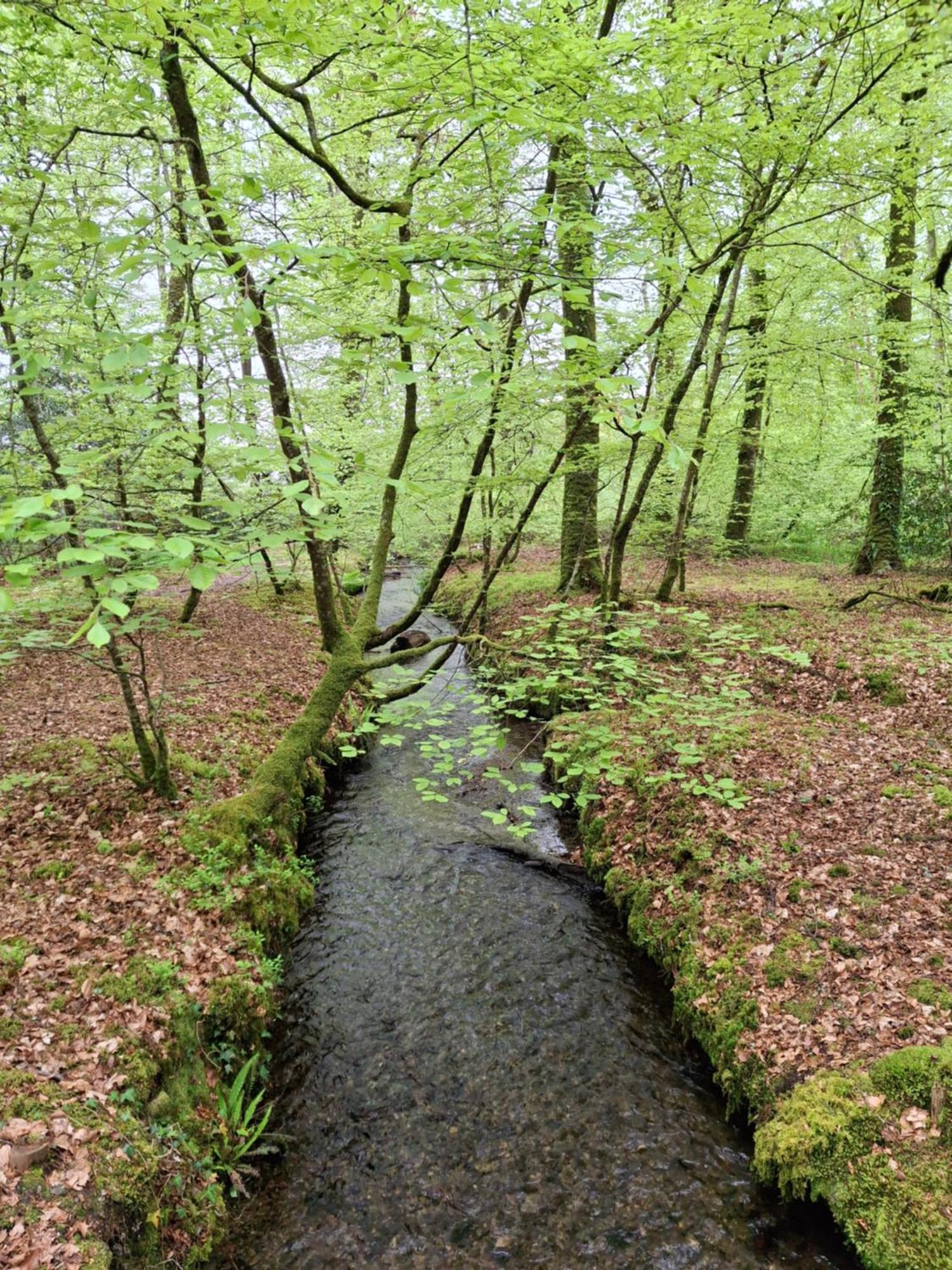 Vila L'Authentique Tonneau A Cidre D'Emma Litteau Exteriér fotografie