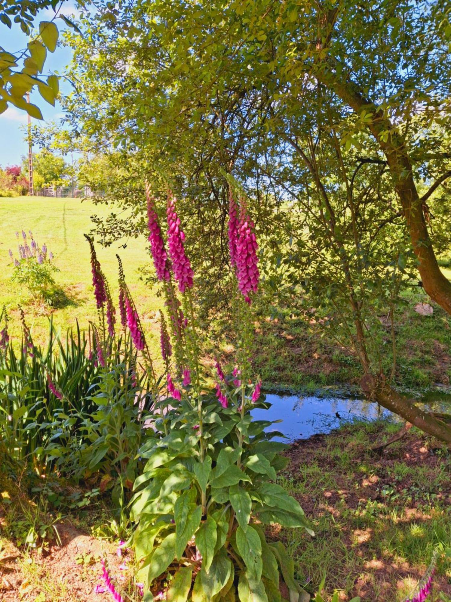 Vila L'Authentique Tonneau A Cidre D'Emma Litteau Exteriér fotografie